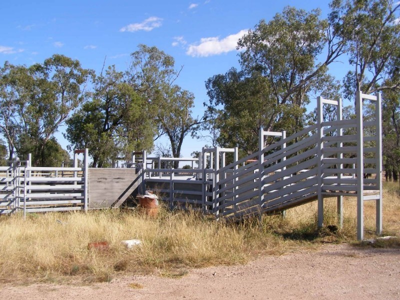 Goondiwindi QLD 4390