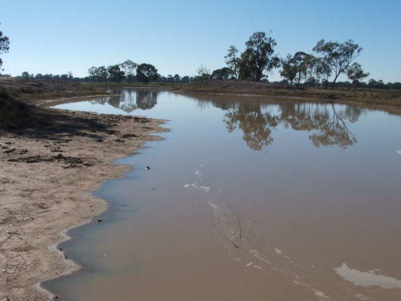 Goondiwindi QLD 4390