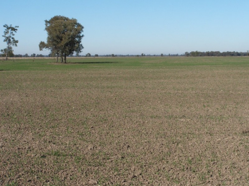 Goondiwindi QLD 4390