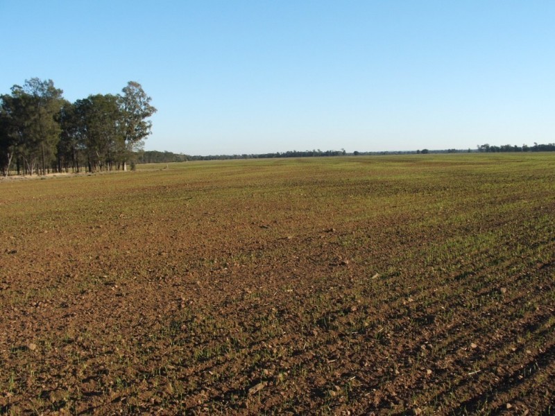 Goondiwindi QLD 4390