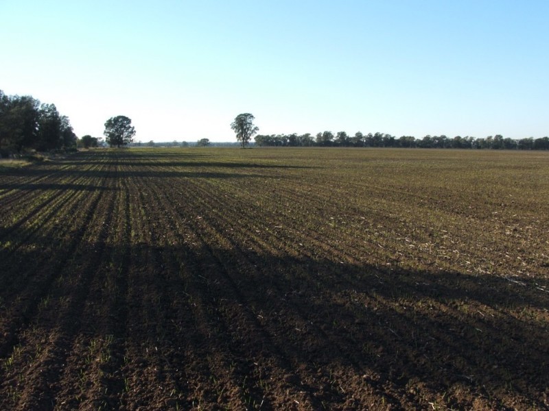 Goondiwindi QLD 4390