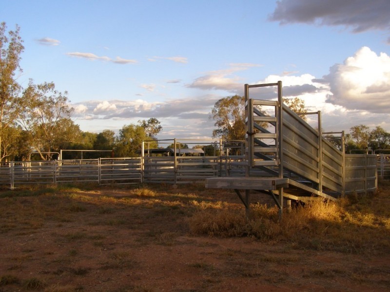 Condamine QLD 4416