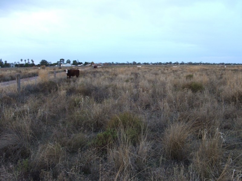 42 Polo Road, Goondiwindi QLD 4390