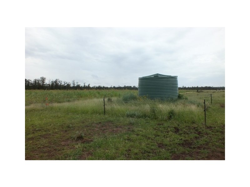 2151 Tenomby Road, Goondiwindi QLD 4390