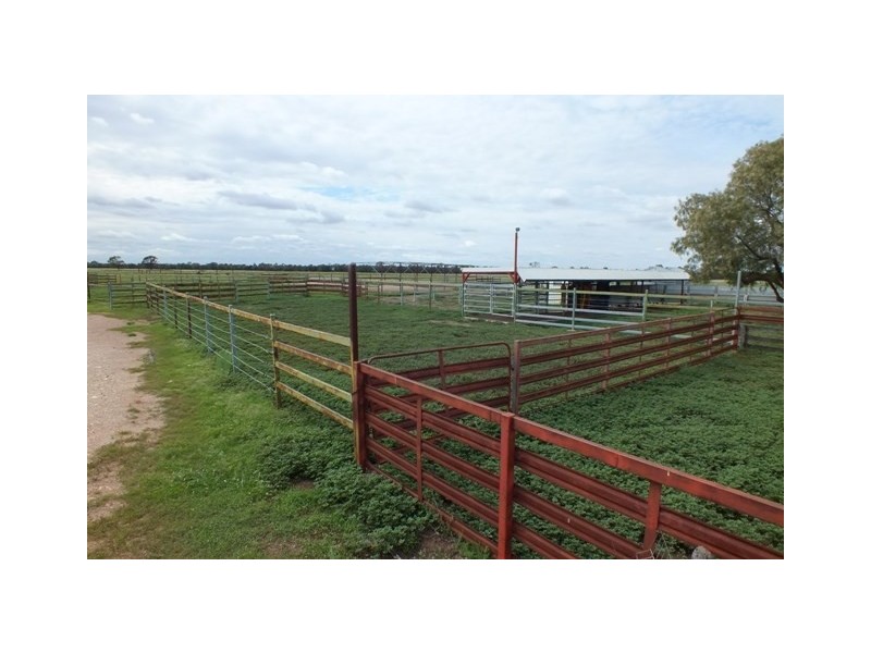 946 Millers Road, The Gums QLD 4406