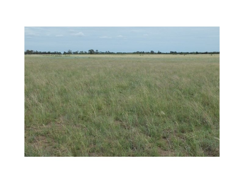 946 Millers Road, The Gums QLD 4406