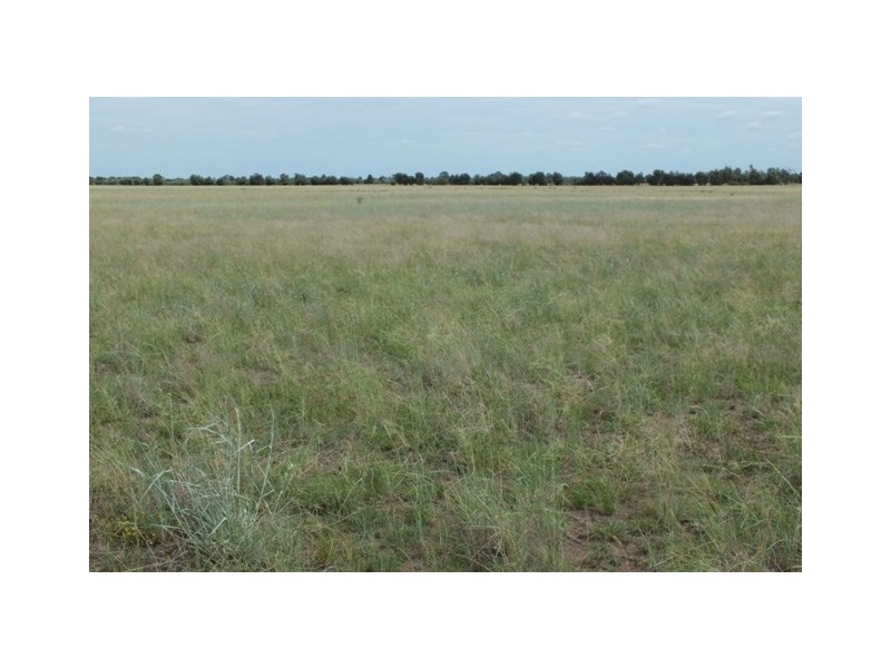 946 Millers Road, The Gums QLD 4406