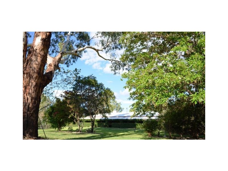 60 THE GRANGE Bondi Road, Boggabilla NSW 2409