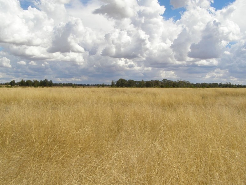 Goondiwindi QLD 4390