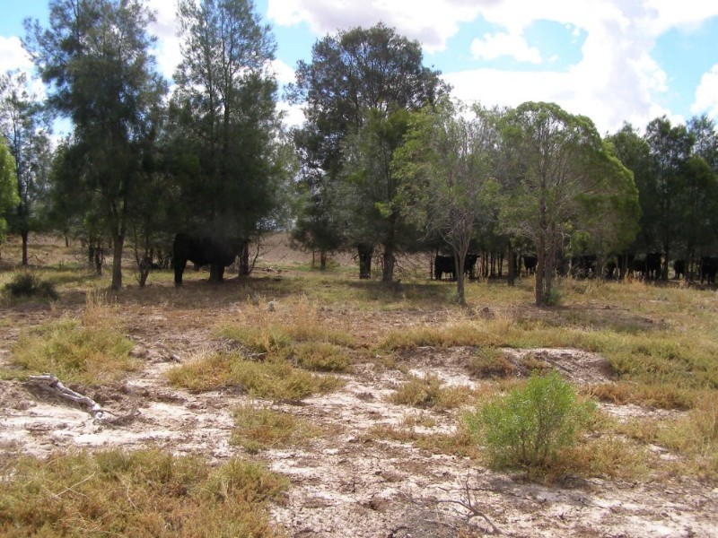Goondiwindi QLD 4390
