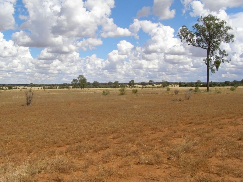 Goondiwindi QLD 4390