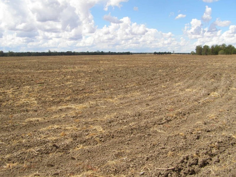 Goondiwindi QLD 4390