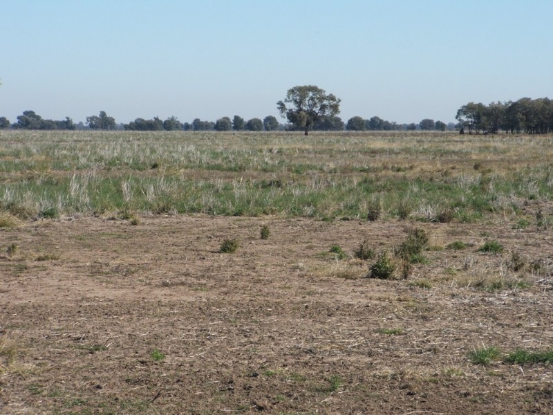 1 Humbug Scrub Road, Goondiwindi QLD 4390