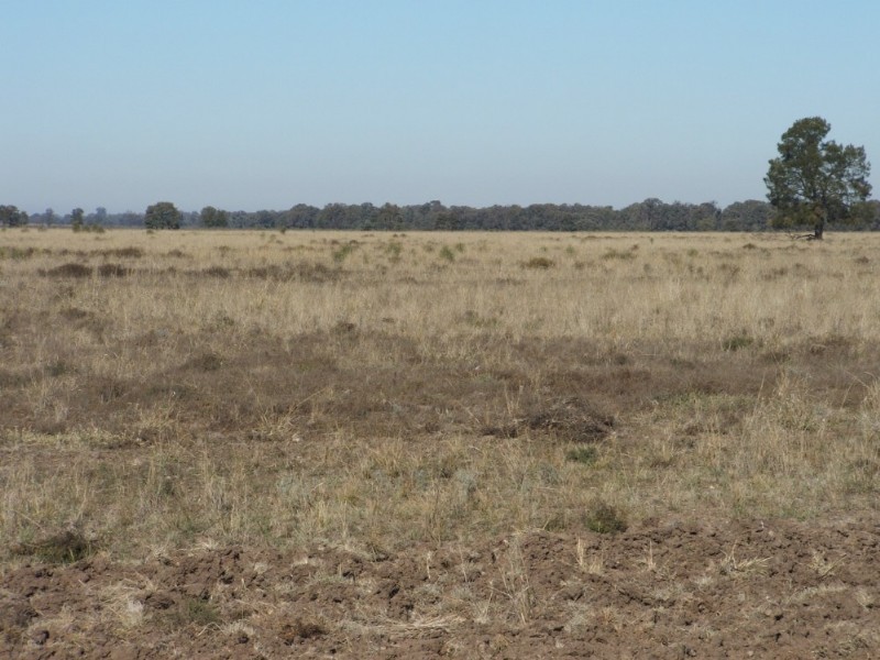 1 Humbug Scrub Road, Goondiwindi QLD 4390