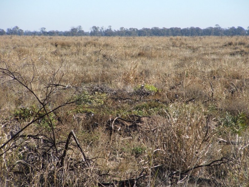 1 Humbug Scrub Road, Goondiwindi QLD 4390