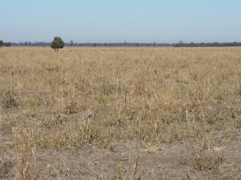 1 Humbug Scrub Road, Goondiwindi QLD 4390