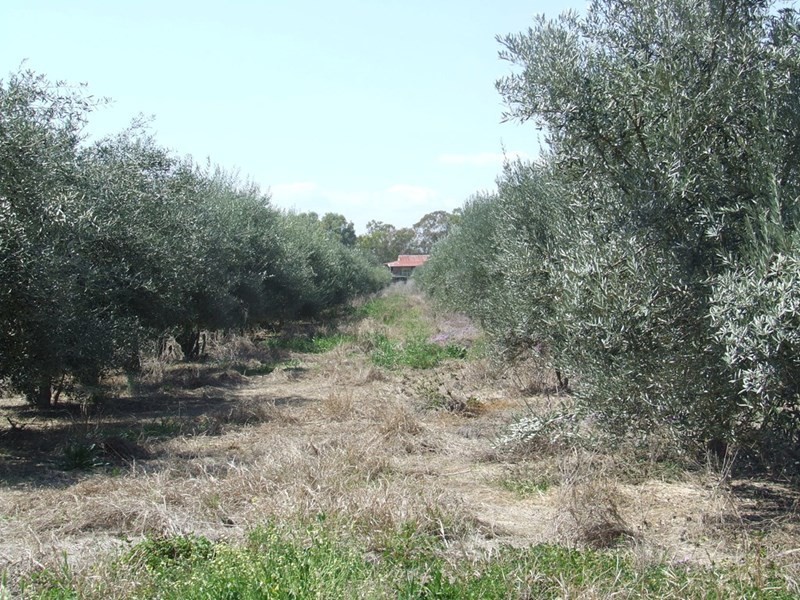 Lot 57 Cunningham Highway, Inglewood QLD 4387