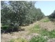 Lot 57 Cunningham Highway, Inglewood QLD 4387