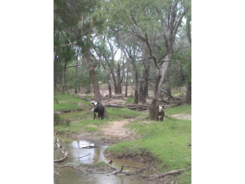 Goondiwindi QLD 4390