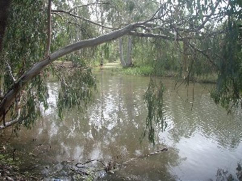 Goondiwindi QLD 4390