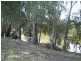 Goondiwindi QLD 4390