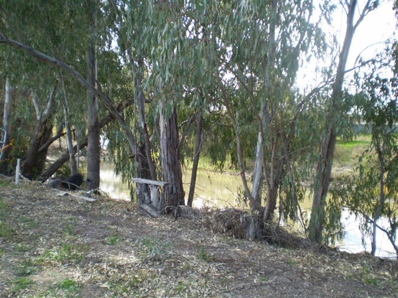 Goondiwindi QLD 4390