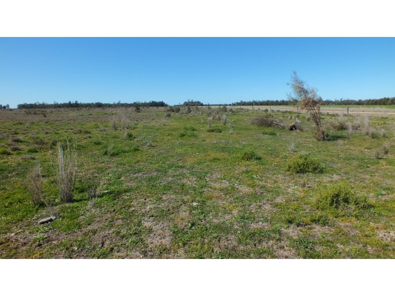 501 Bendee Road, Meandarra QLD 4422