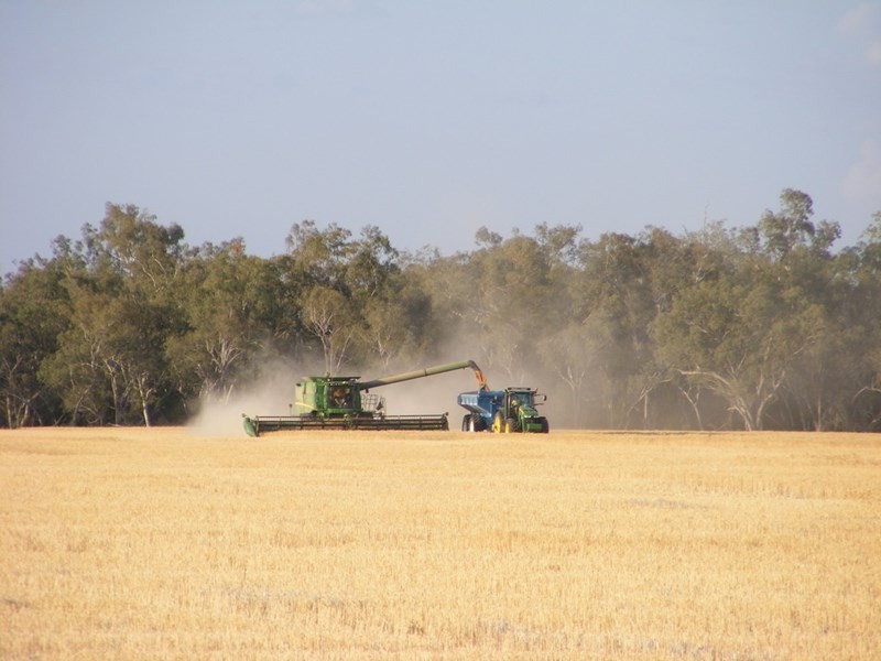 Goondiwindi QLD 4390