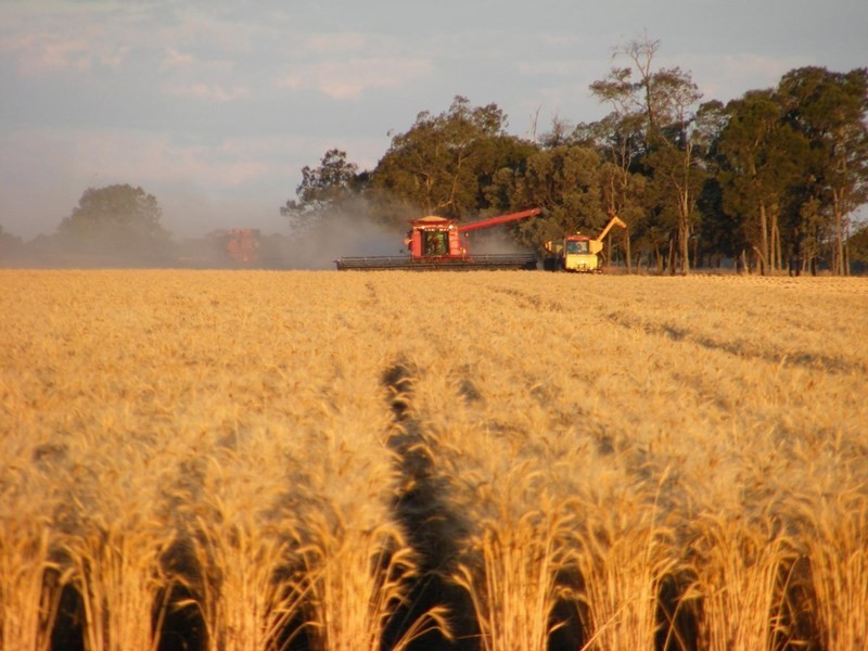 Goondiwindi QLD 4390