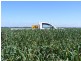 Goondiwindi QLD 4390