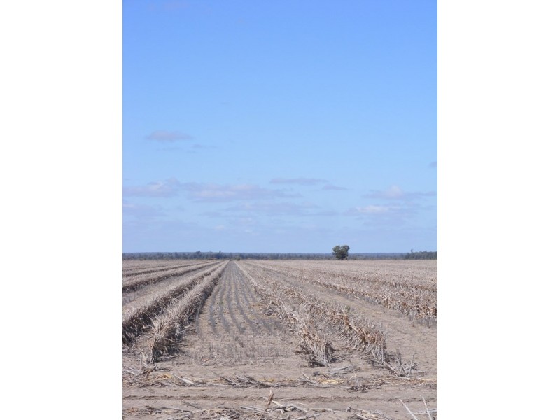 Goondiwindi QLD 4390