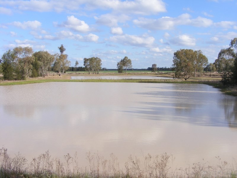 Goondiwindi QLD 4390