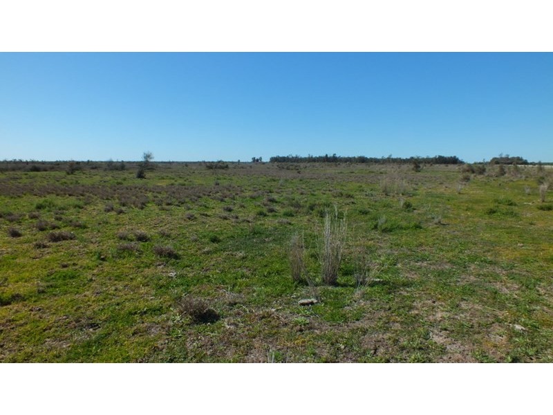Goondiwindi QLD 4390