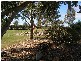 32425 Cunningham Highway, Goondiwindi QLD 4390
