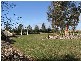 32425 Cunningham Highway, Goondiwindi QLD 4390