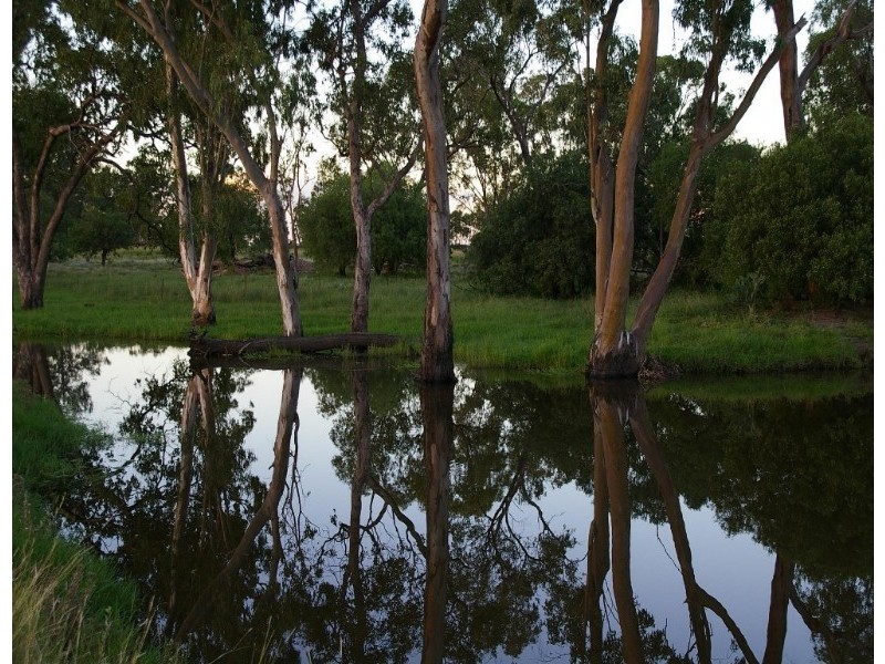 32425 Cunningham Highway, Goondiwindi QLD 4390