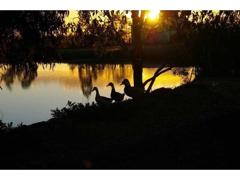 32425 Cunningham Highway, Goondiwindi QLD 4390