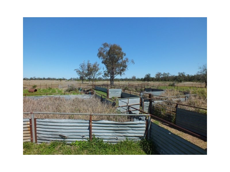 Goondiwindi QLD 4390