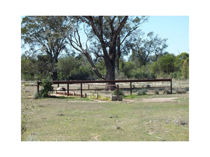 Goondiwindi QLD 4390