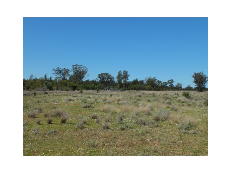 Goondiwindi QLD 4390