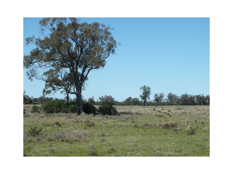 Goondiwindi QLD 4390