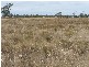 43 Gurner Street, Goondiwindi QLD 4390
