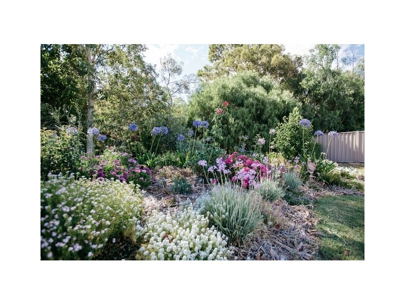 Goondiwindi QLD 4390