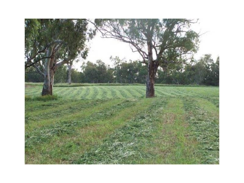 1291 Texas-Yelarbon Road, Texas NSW 4385