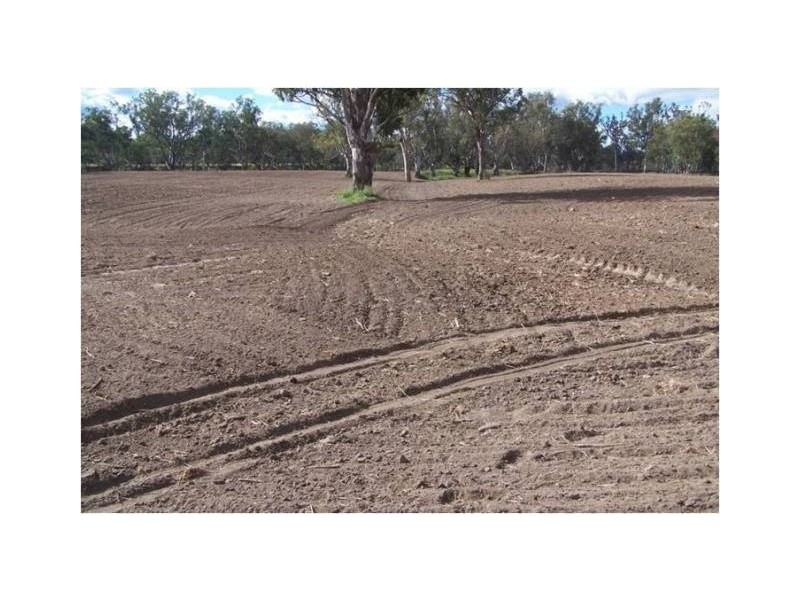 1291 Texas-Yelarbon Road, Texas NSW 4385