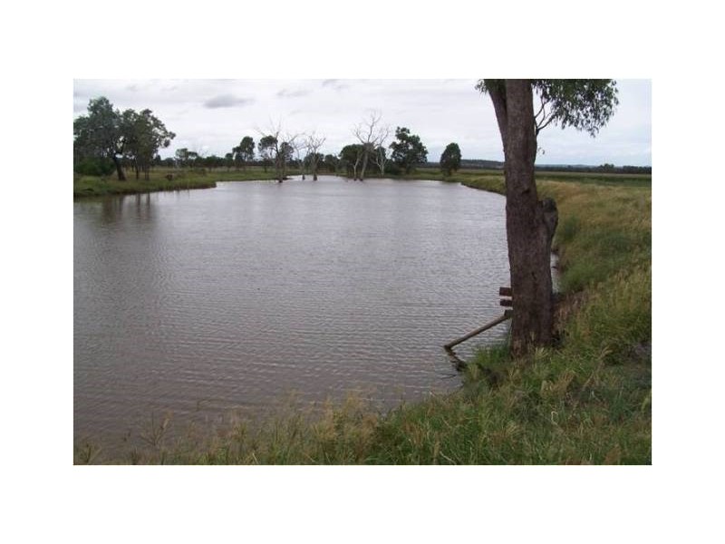 1291 Texas-Yelarbon Road, Texas NSW 4385