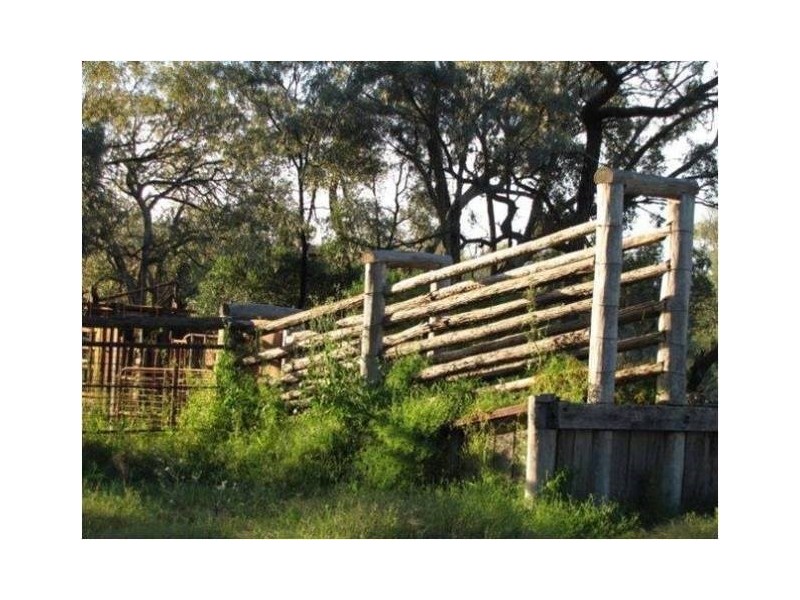 1291 Texas-Yelarbon Road, Texas NSW 4385