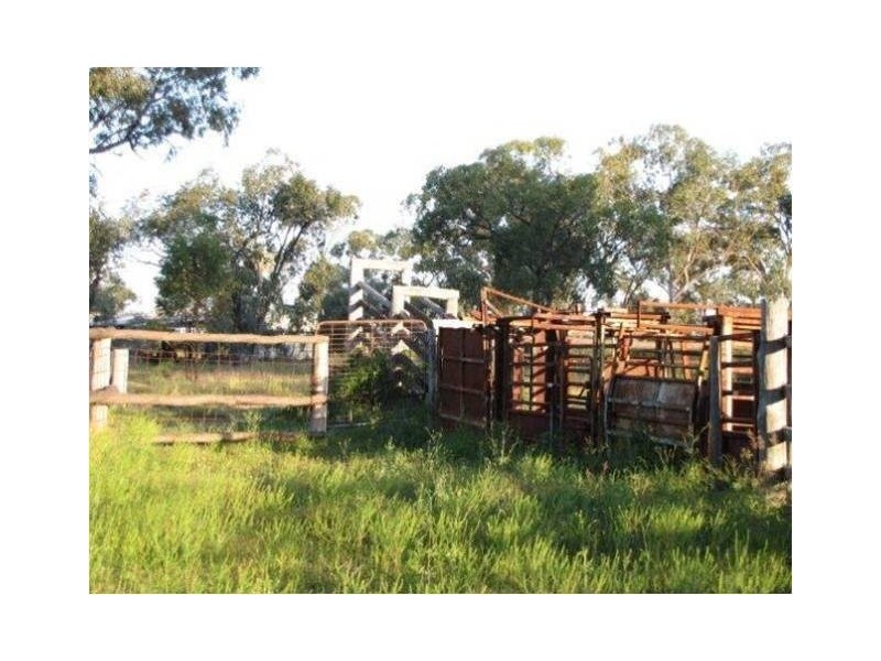 1291 Texas-Yelarbon Road, Texas NSW 4385