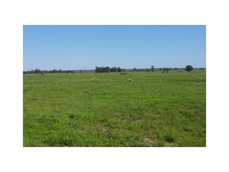 0 Texas-Yelarbon Road, Beebo QLD 4385