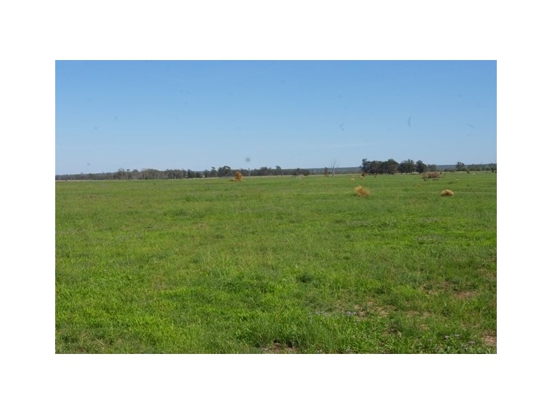 0 Texas-Yelarbon Road, Beebo QLD 4385
